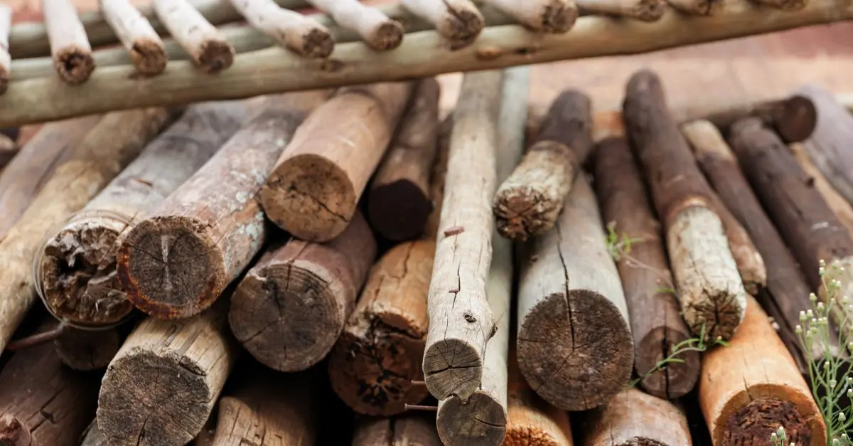 Menuiserie Écologique : Techniques et Matériaux Innovants