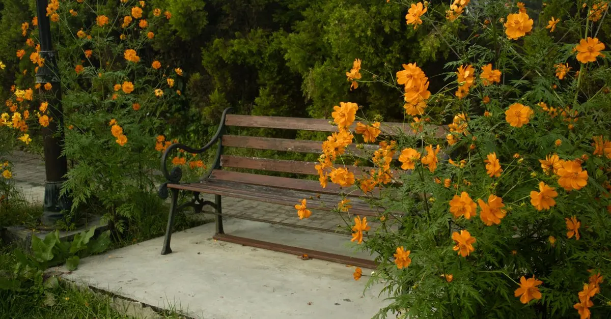 Construire un Banc de Jardin en Bois : Guide Complet